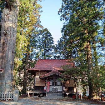 東野バス停近くの諏訪神社。傍らには大杉。安全登山を願います。
3月末で土日の三ヶ木から月夜野のバス便がなくなるため沢山の乗客がありました。
オンデマンドタクシーを上手く利用できれば、再訪できるのかな？