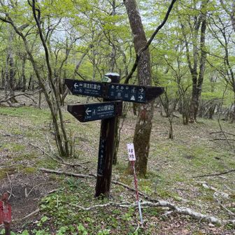 すぐに最後のピークである立山到着。展望台から富士山見えるらしいけどもうお隠れになられたと思うので帰ります。