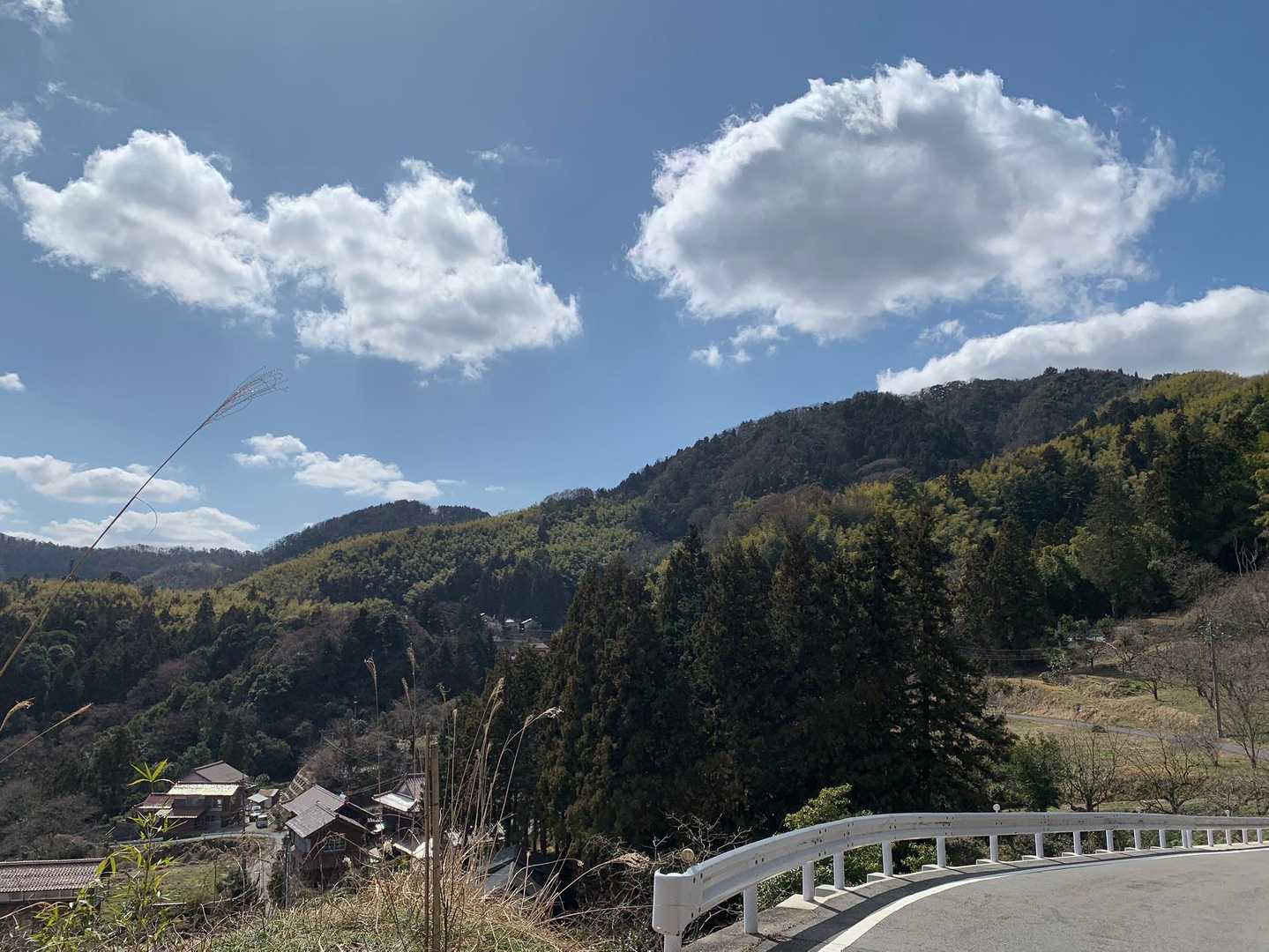 京羅木山-星上山 縦走コースの写真