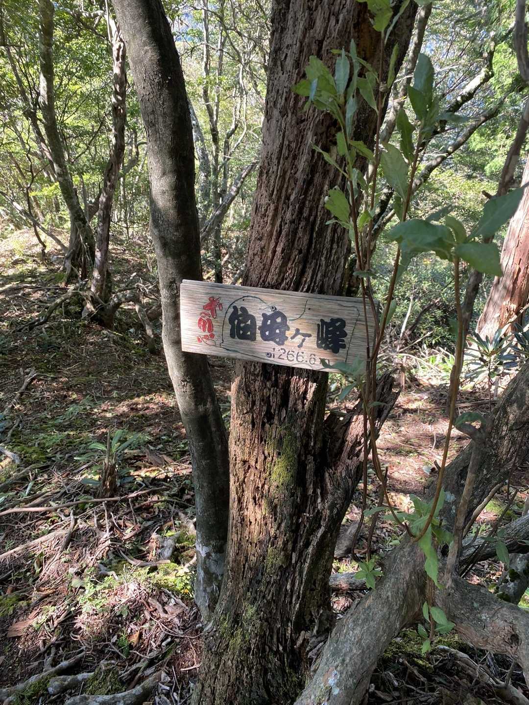 伯母ヶ峯
