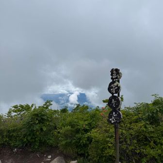 何かが見えそうで見えない山頂😑