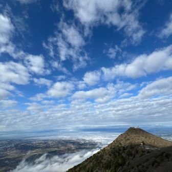 コントラスト良き🩵