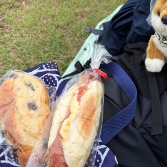 今日のお昼はパンと☕️です🥖