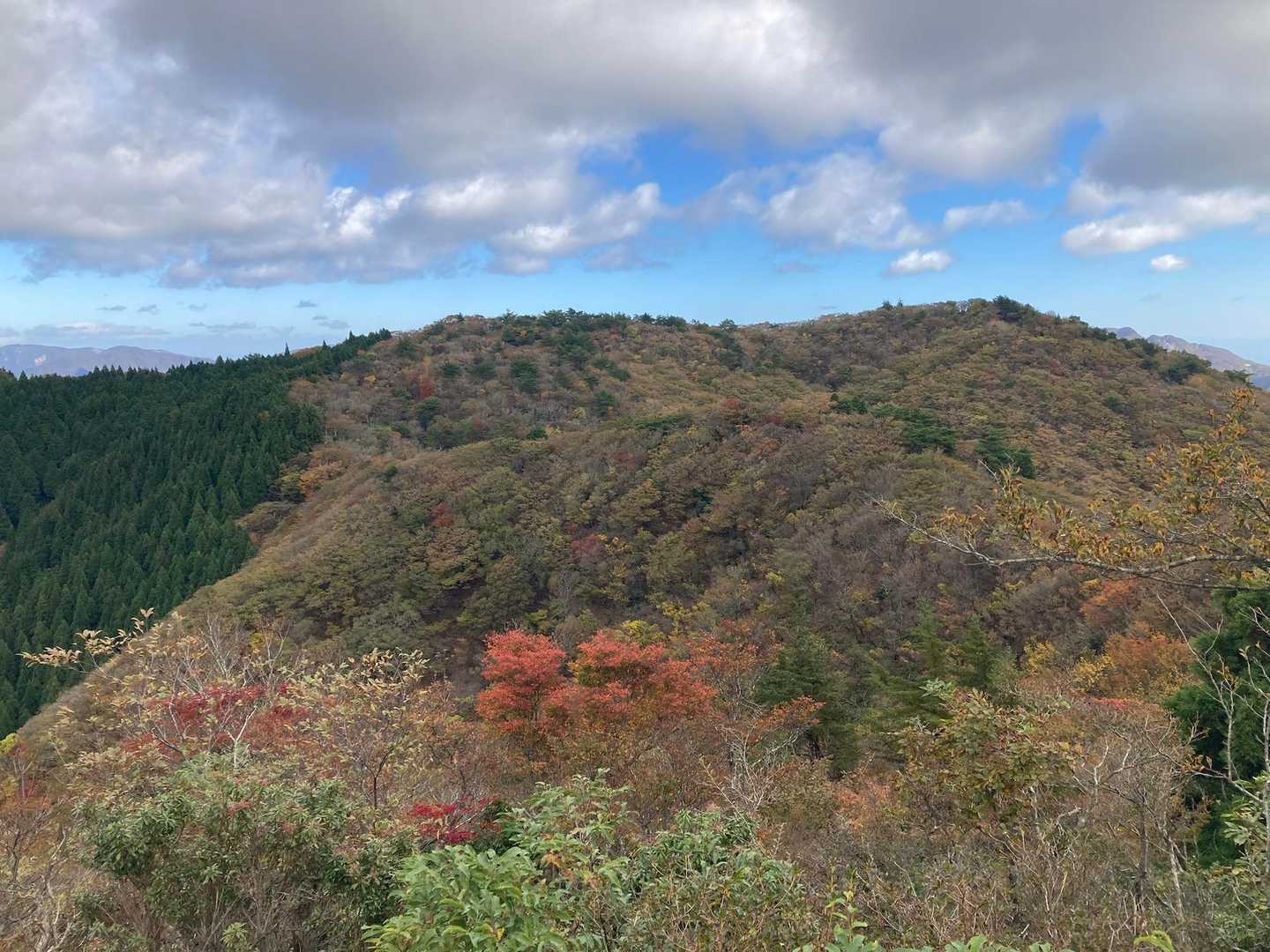 紅葉きれいで　良かった