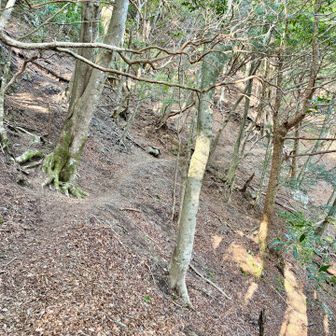 長い下りの後に、この辺りからトラバースゾーンへ！
この先には金冷やしと言われる道幅が狭くて高度感のある箇所が多数あります☝️
注意して歩けば問題ないですが気をつけて通行ください👍