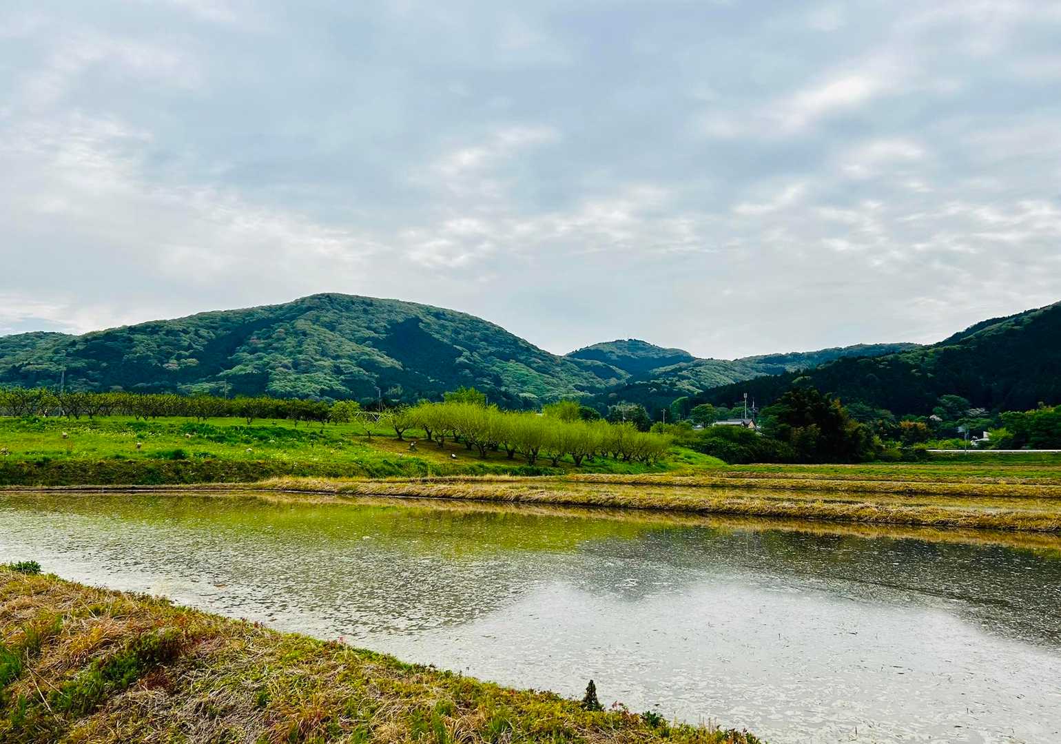 あの 山々へ 🏃‍♀.•*¨*•.¸¸