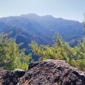 景色が開けてほっ😄