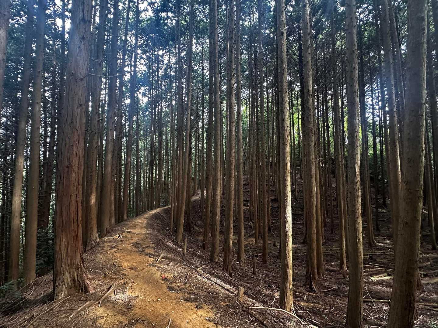 ポンポン山往復 | 初心者から楽しめる、声に出したくなる不思議な山の写真