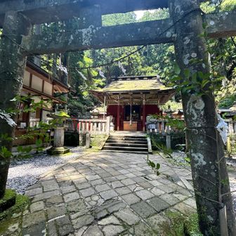 まさに神々しい雰囲気の
東照宮には