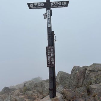 東天狗岳登頂。