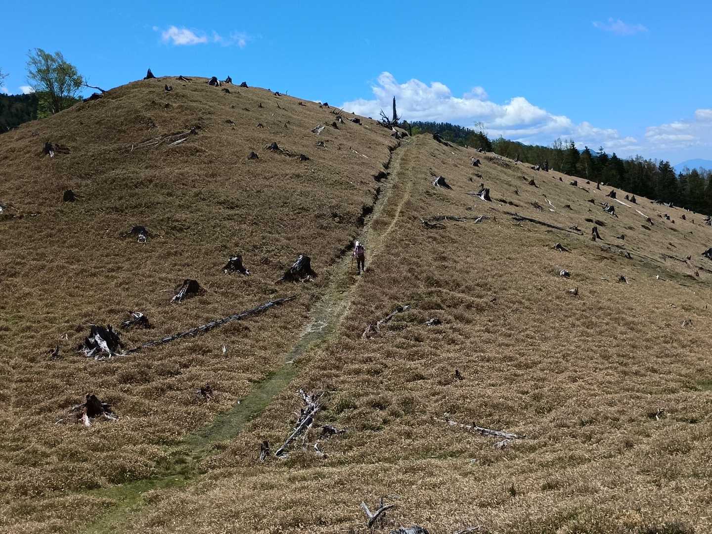 二児山遊歩道入口-二児山 往復コースの写真