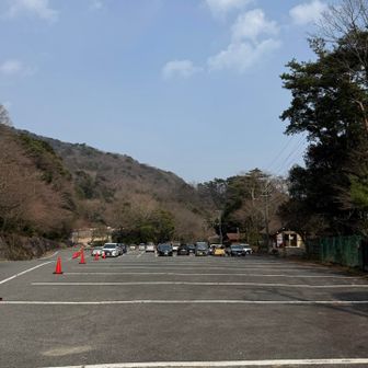 ゴルゴルゴール！