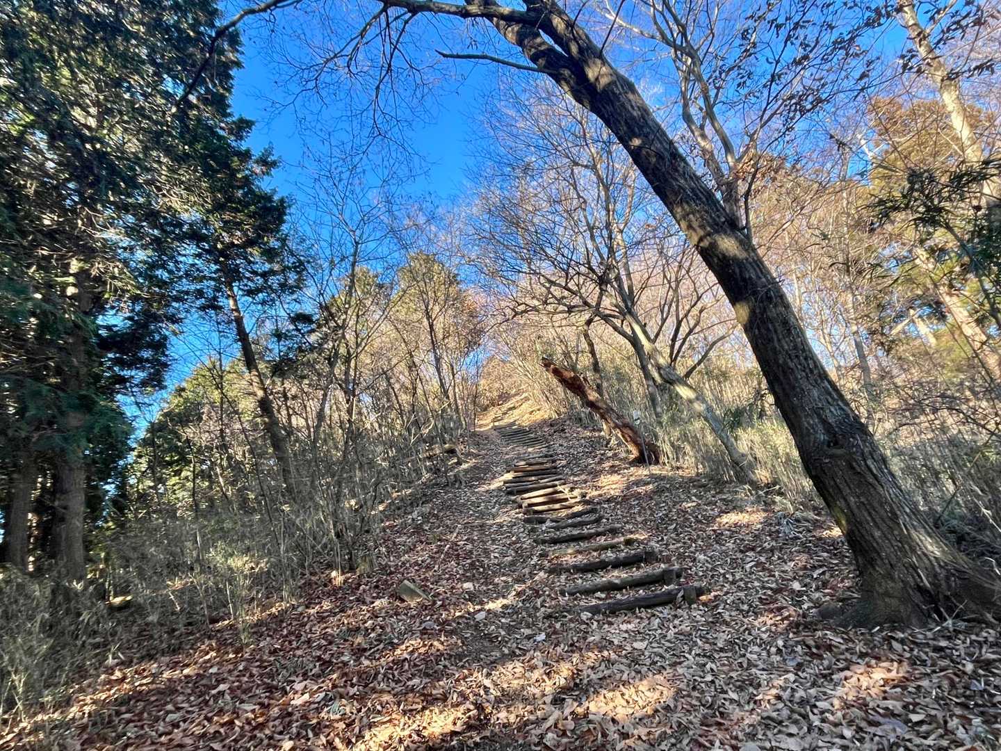 大桁山山頂直下は激急登