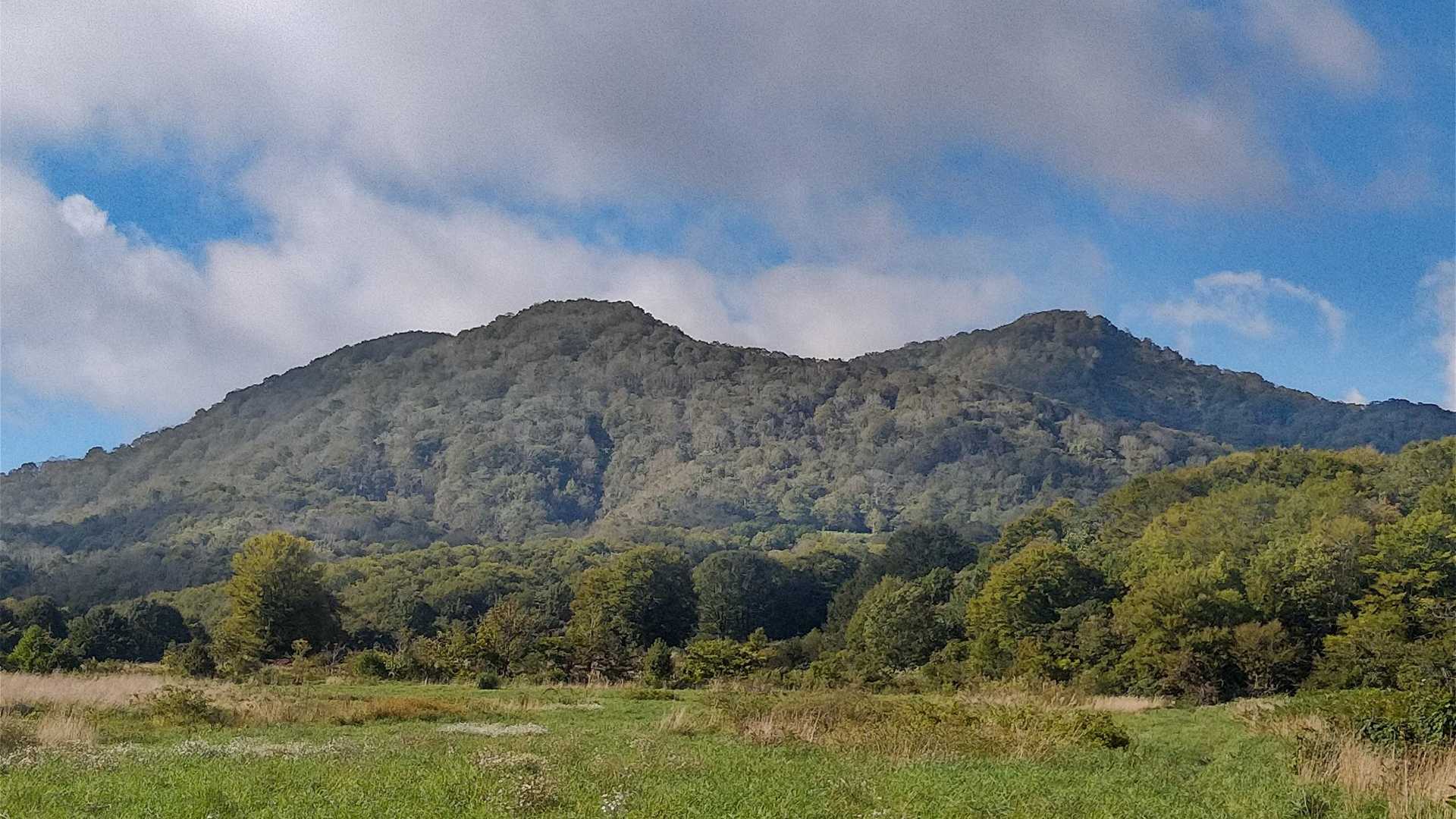 七時雨山 田代平高原コースの写真