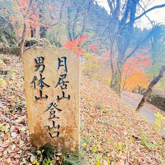 下りてきました