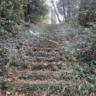 こんな感じの道です