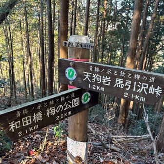 要害山山頂看板
わからんだろｗｗ
小さすぎｗ
通り過ぎて戻ってきたぞ
(￣ｍ￣〃)ぷぷっ!