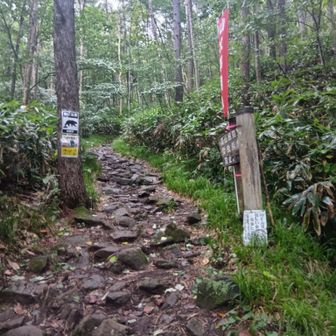 2日目、平元新道。
※平元新道を下り、林道に出ました。振り返って登山口。