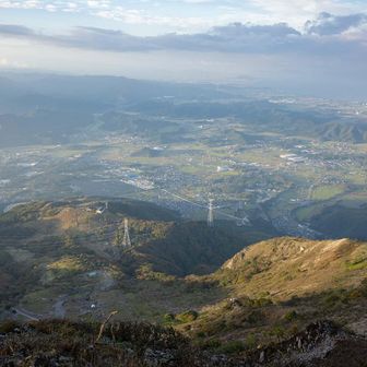 朝日が当たって綺麗