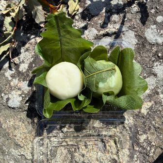 参道で買ったかしわ餅をいただきます