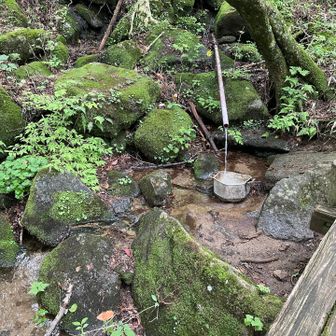 そこを越えればあとはすぐです
行きでは使わなかった水場で手を洗い顔を洗って涼みます

そうして下山したこの日…
帰りに奥多摩をドライブして帰ろうと思っていたのに土砂降りに見舞われ急足になるとか、悲しい😭