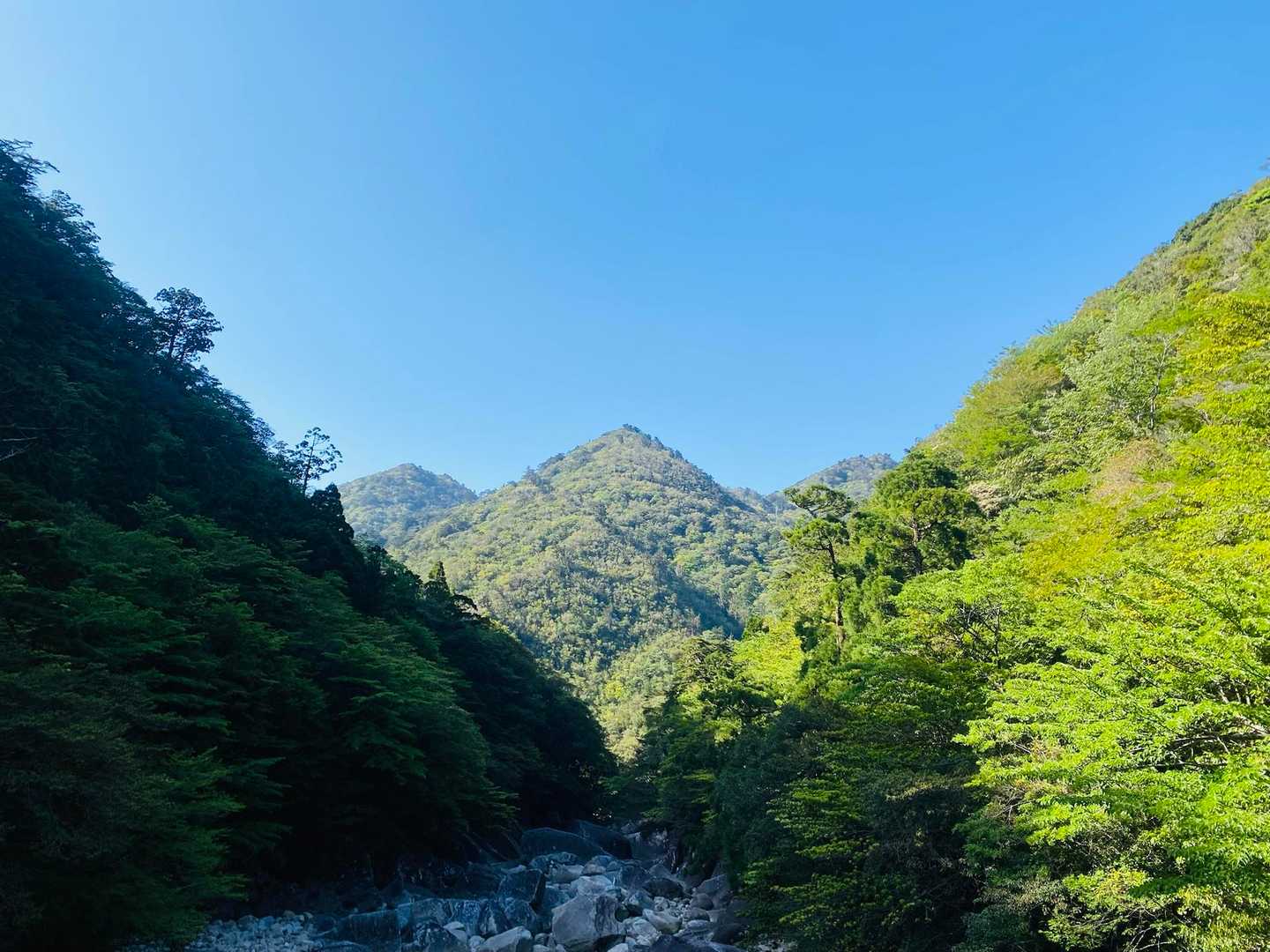 荒川登山口-ウィルソン株-縄文杉 往復コースの写真
