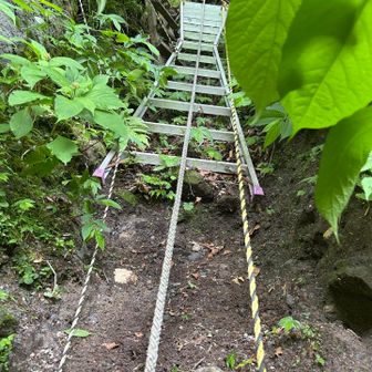 さて、お昼も食べたので登り返します。
まずはこのハシゴ

このハシゴも私が持ってる地図の情報と違うので付け替えてくれたんでしょうね

ありがたいです