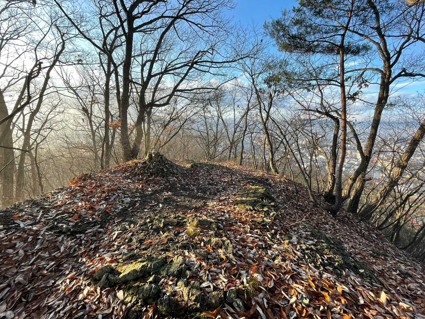 盃山山頂はこんなところ。