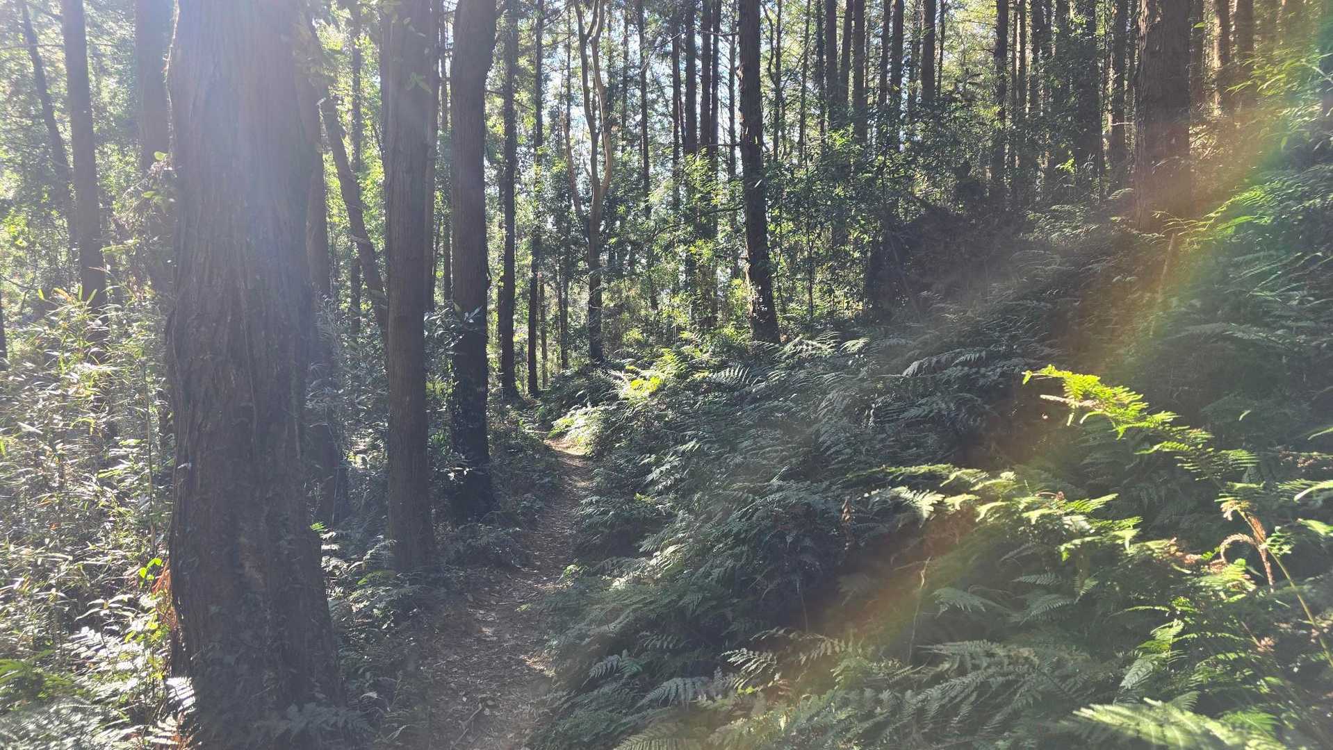 極楽寺コース-宝篋山-常願寺コース 周回コースの写真