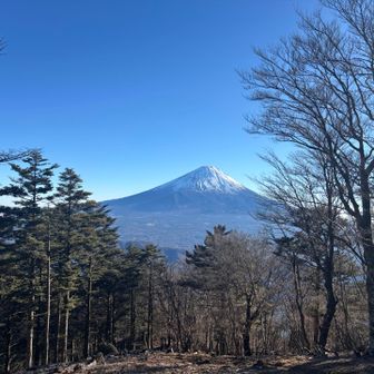 金山からの富士山