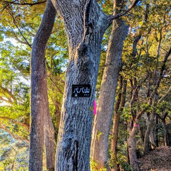 88mだかららしい