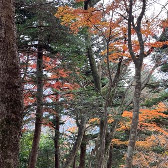 宮ヶ瀬越まで戻ります