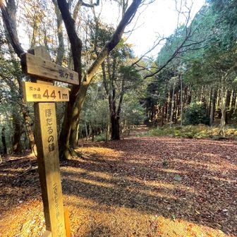 本日の最高峰⛰️
