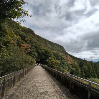 めがめ橋の上に戻って来た道を引き返して