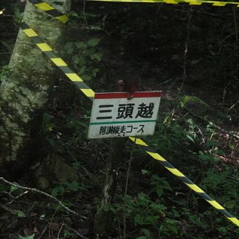 ここを通ってきた道へ降りてってる