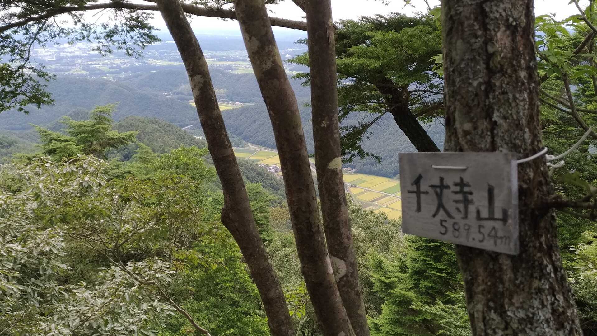 千丈寺山の写真