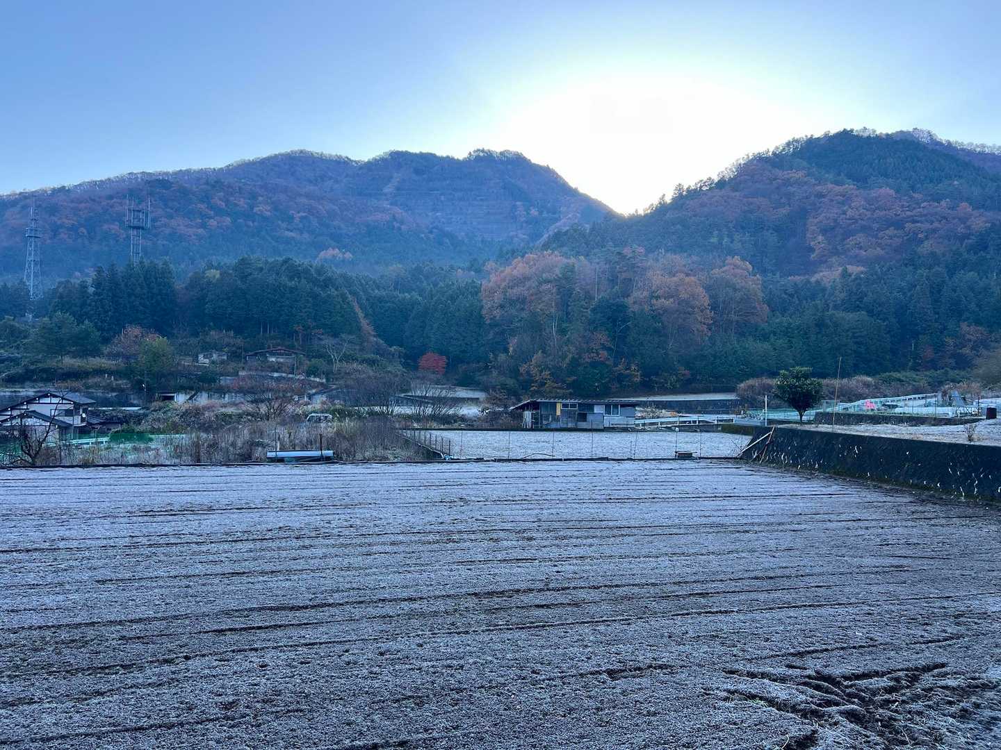 高川山の横から、陽が登るようです♪