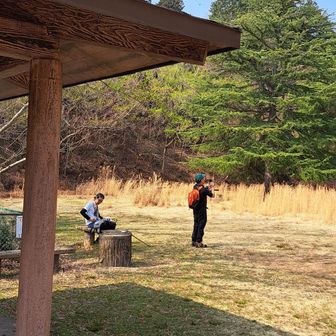 ココ…
ヤング広場って名前らしい