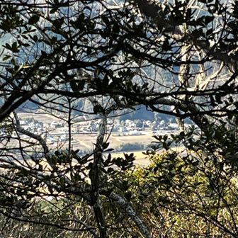 垣間見える度会側