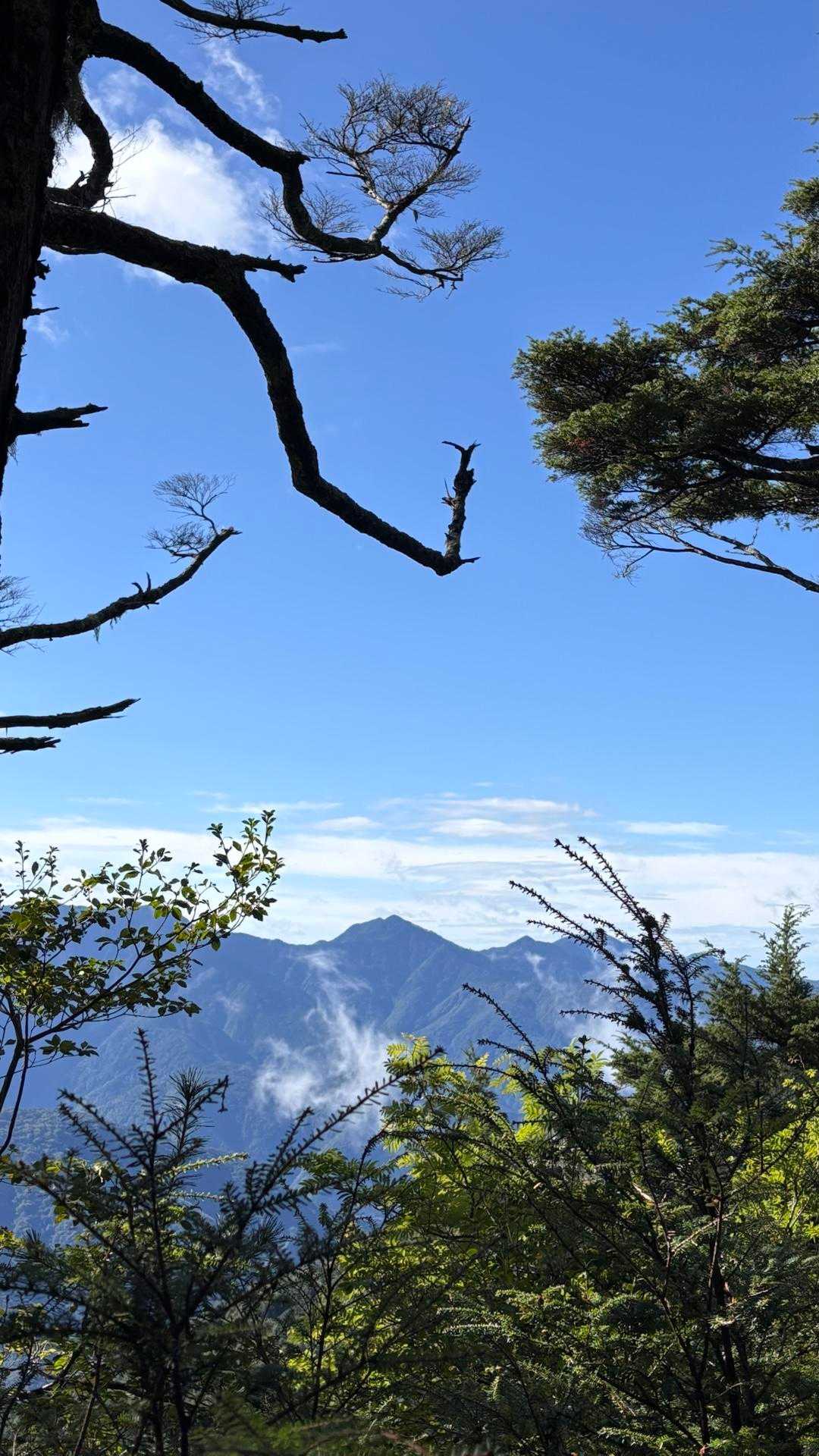 山

背伸びしてスマホを上にあげて撮った

天気予報通り晴れてきた