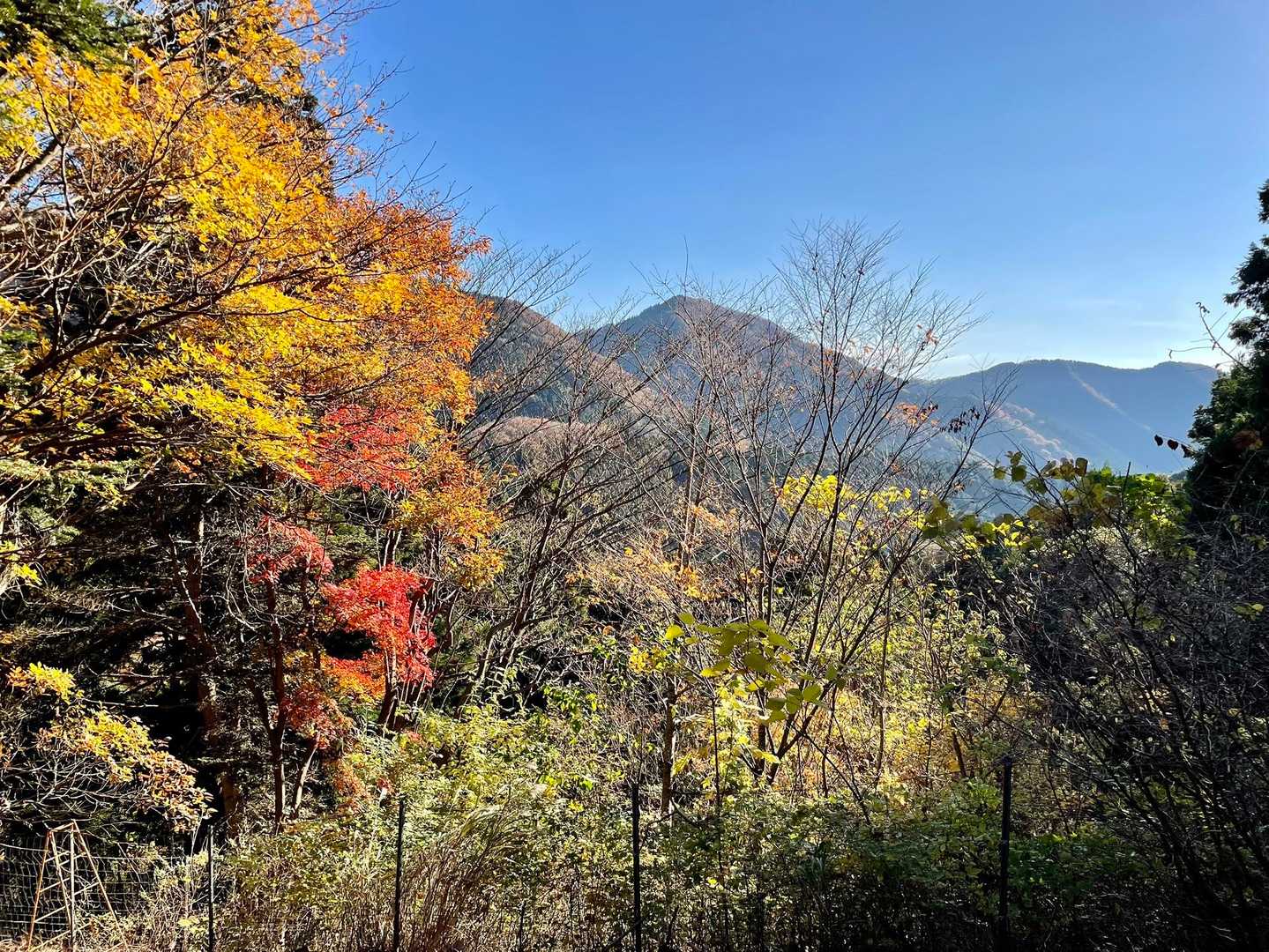 経ヶ岳