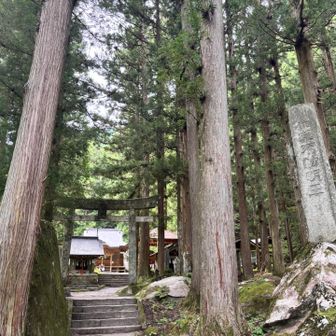 下山後神社にお参り
奥に行くととっておきのスポットありますよ〜