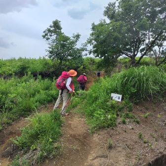 一ノ峯登山口

タイミングよく駐車出来て良かった🚙