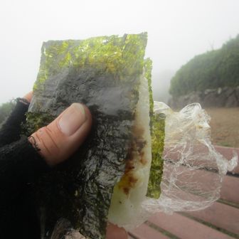 持ってきたおにぎりに、韓国海苔巻いて食べました🍙