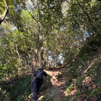 しばしご一緒した先輩