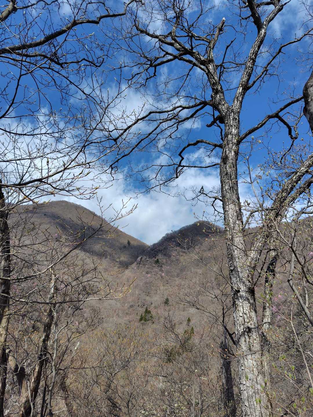 V字のところが目指す鳥居峠