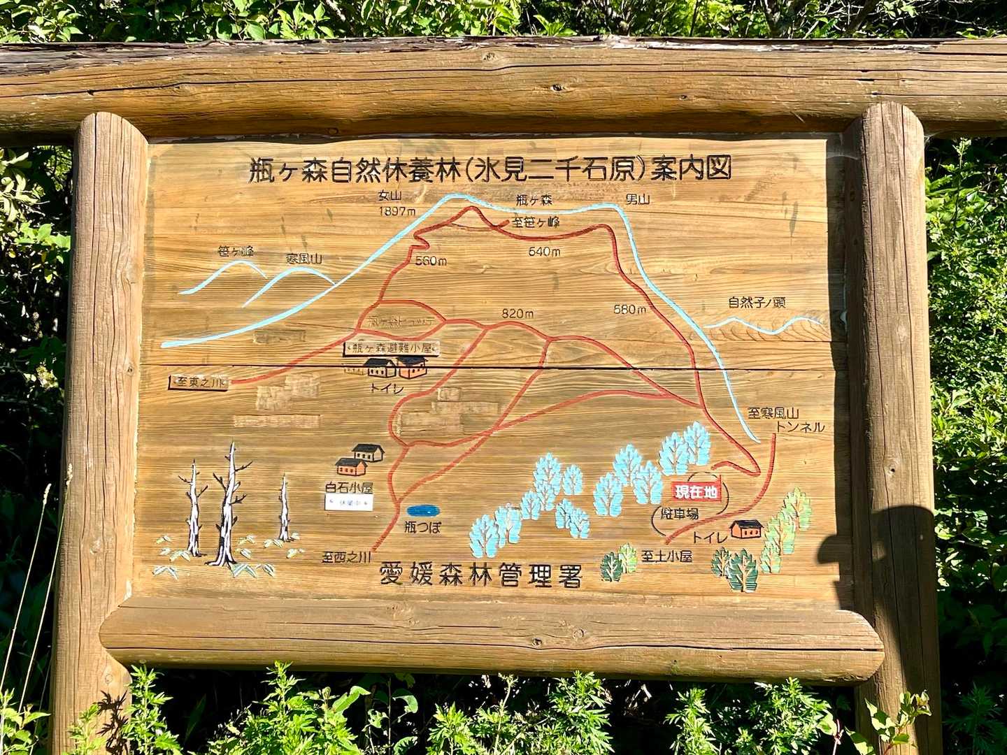 登山口の標高は1,680m
温度計を見るクセがまだ付かず、何度か分からんが涼しい😆