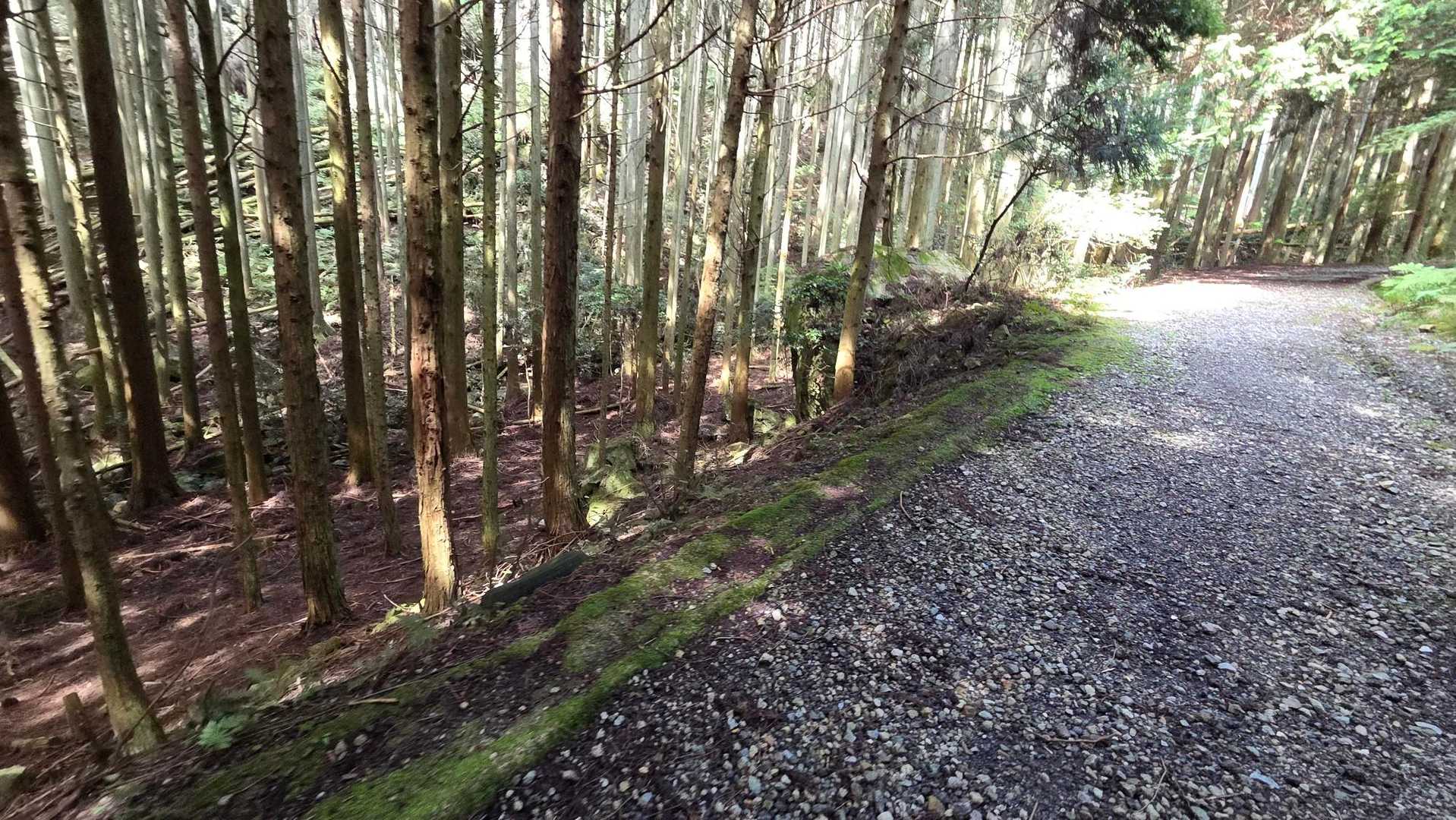 白髪岳登山口-白髪岳 往復コースの写真