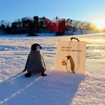 
山と関係ないけど、最近励まされた言葉と共に🐧

やっぱり相棒は雪が似合う❄
今日もいい１日でした。