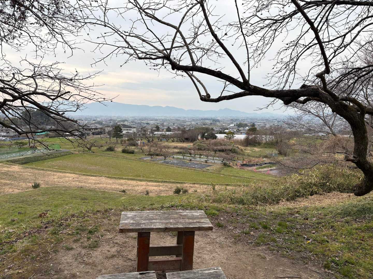 龍王山 周回コースの写真